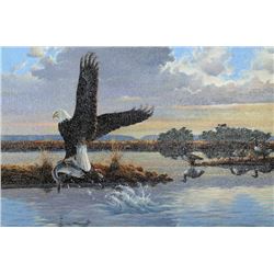 Marcel Bordei, Easy catch (Bald Eagle), Oil Painting