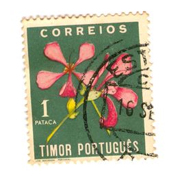 Portuguese Timor Postage Stamp