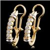 Image 2 : 14K TT Gold 0.74ctw Diamond Earrings