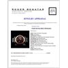 Image 3 : Polanti SS Zone Men's Wristwatch