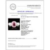 Image 5 : 18K Gold 1.69ct Spinel & 0.47ctw Diamond Ring