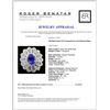Image 4 : 18K White Gold 2.27ct Tanzanite & 2.14ct Diamond R