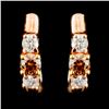 Image 1 : 14K Gold 0.51ctw Fancy Color Diamond Earrings