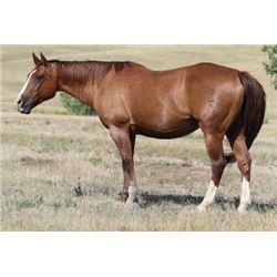 Lady Frosty Wonder  - 2000 Sorrel AQHA Mare