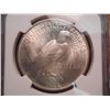 Image 2 : 1923 PEACE SILVER DOLLAR NGC MS63