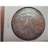 Image 1 : 1991 AMERICAN SILVER EAGLE UNC