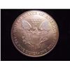 Image 2 : 1999 COLORIZED AMERICAN SILVER EAGLE