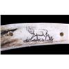 Image 7 : J. Jacobs Custom 440 Elk Horn Handle Knife