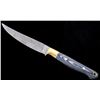 Image 2 : Damascus & Micarta CFK Knife Skinner with Scabbard
