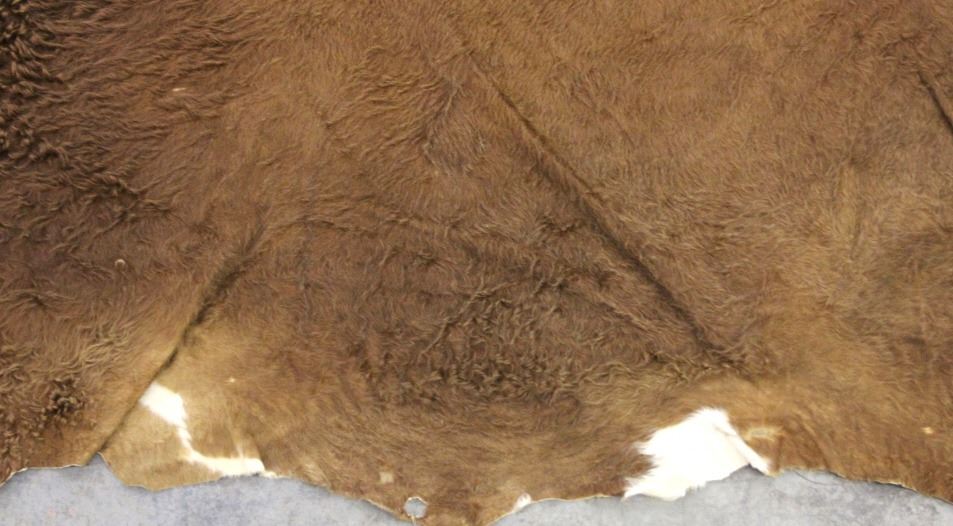 Montana Tanned Cow Hide