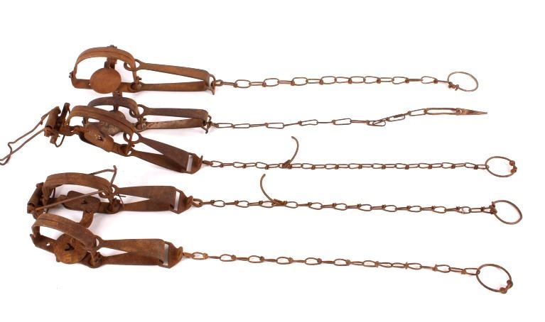 Vintage Collection Of Beaver Traps