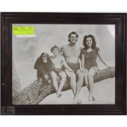 VINTAGE TARZAN PICTURE - 16.5" X 13.5"