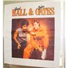 Image 1 : HALL AND OATS FLAG FROM 1982