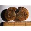 Image 1 : LOT OF 2 MATCHED AMMONITE SPECIMENS