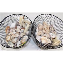 TWO BASKETS OF SEA SHELLS