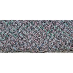 #31 CARPET ROLL END 25' 6" X 12FT