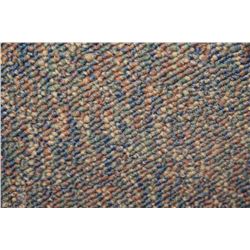 #34 CARPET ROLL END 50' X 12FT