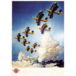 German WW II Airforce Poster