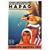 Image 1 : Beautiful Travel Poster Arpke