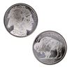 Nice Buffalo Silver Round Bullion Lot (10)