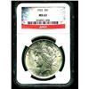 Image 1 : 1922 MS 63 NGC Slab Peace Dollar