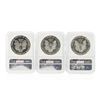 Image 2 : 1993-1995 $1 American Silver Eagle Coin Set NGC MS69