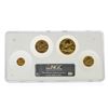 Image 2 : 2006 American Eagle Gold Coin First Strike NGC Graded MS70 Set