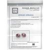Image 3 : 7.44 ctw Pink Tourmaline and Diamond Stud Earrings - 14KT White Gold