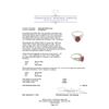 Image 3 : 3.32 ctw Ruby and Diamond Ring - 18KT White Gold