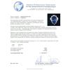 Image 3 : 14KT White Gold GIA Certified 8.26 ctw Tanzanite and Diamond Ring