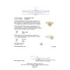 Image 3 : 1.37 ctw Fancy Yellow Diamond Ring - 14KT Yellow Gold