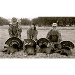 Blackbuck & Turkey Combo Hunt in San Angelo, Texas (3 days)