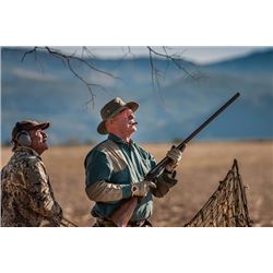 Argentina Dove Hunt in Cordoba for three hunters (3 days)