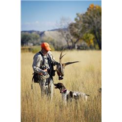 Pheasant, quail & chuckar hunt for two in Utah (2 day/3 nights)
