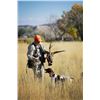 Image 1 : Pheasant, quail & chuckar hunt for two in Utah (2 day/3 nights)