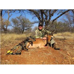 Plainsgame South African safari in Limpopo  (5 days)