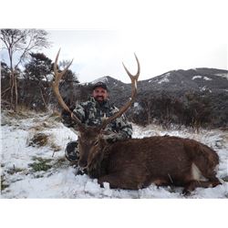Sika Deer hunt in New Zealand for one hunter (4 days)
