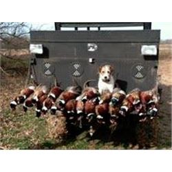 Quail hunt in Yantis, Texas for four hunters (2 day/1 night)