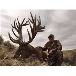Red Stag hunt in Patagonia, Argentina (5 days/6 nights)