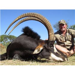 South African safari for one zebra, blue wildebeest, impala, blesbuck, steenbock, and gemsbock for t