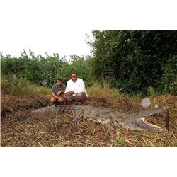 Crocodile or Duiker Hunt for one hunter in Mozambique (7 days)