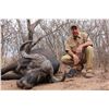 Image 1 : Safari for 2 hunters & 2 observers in South Africa (12 days)