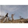 Image 1 : Dove hunt in Argentina for 4 hunters