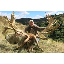 Red Stag hunt for 3 hunters/3 non-hunters in New Zealand (5 days)