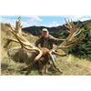 Image 1 : Red Stag hunt for 3 hunters/3 non-hunters in New Zealand (5 days)