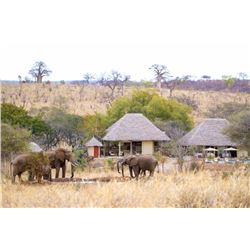 Photographic safari in Tanzania for 2 people (3 days)