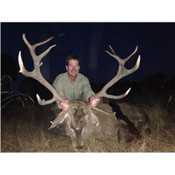 Four day hunt in Spain