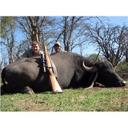 Water Buffalo hunt  in Argentina for one hunter