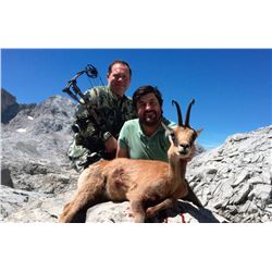 Spanish hunt for Cantabrian Chamois for one hunter (4 days)