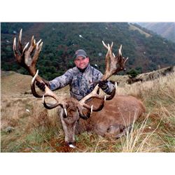 Red Stag hunt in Canterury, New Zealand (4 days/3 nights) for two hunters.